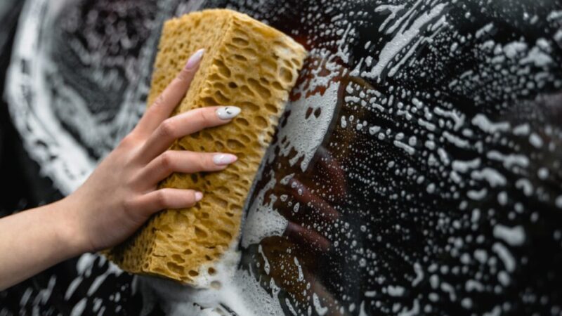 professional window tint service